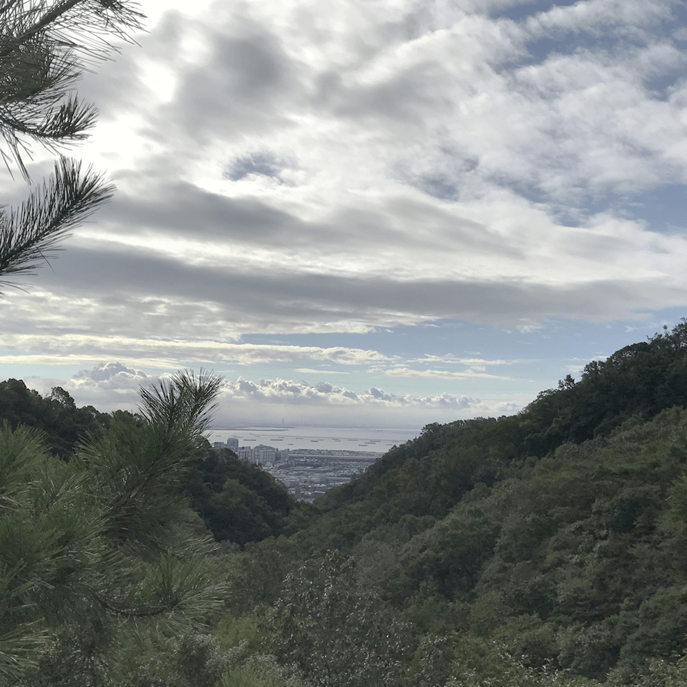 少し雲の多い天気でした･･･。