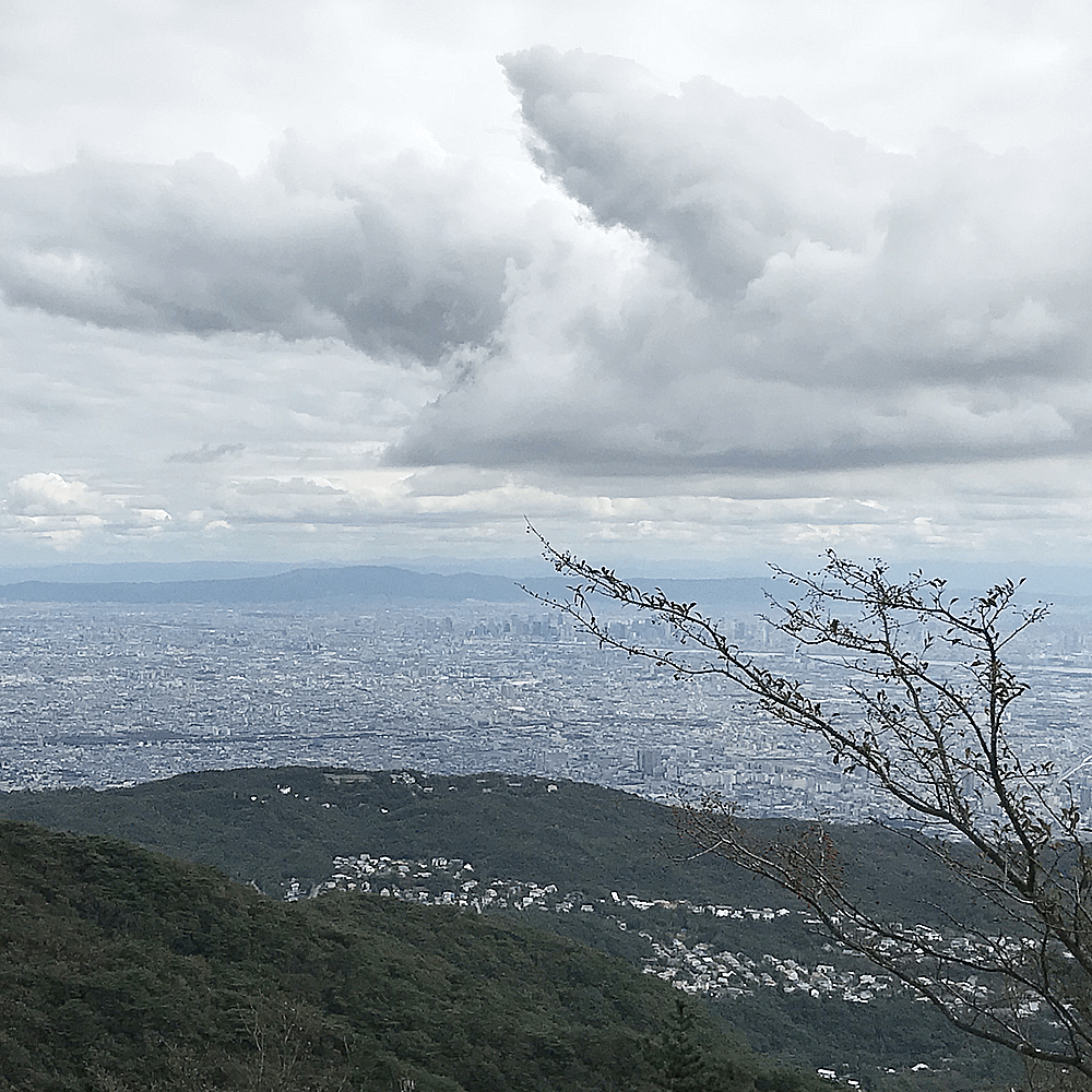 神戸の街が眼下に！