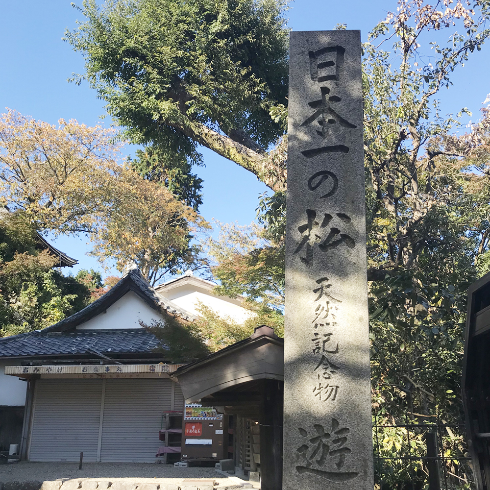 善峯寺は日本一の松が人気です。