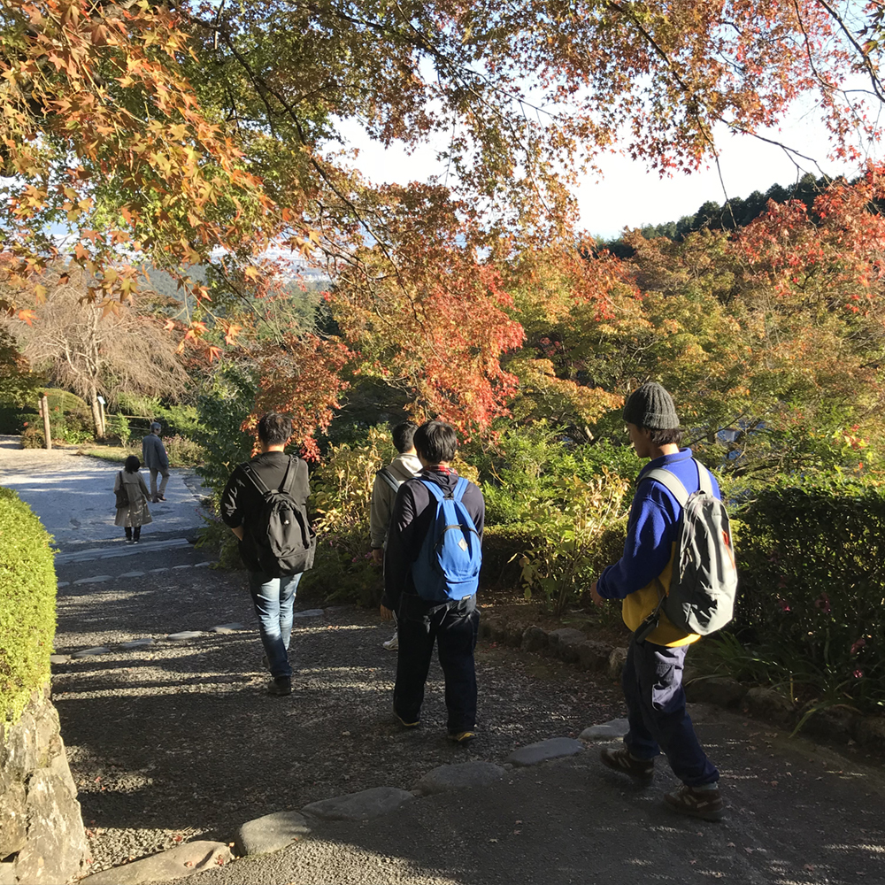 京都の秋を実感します。